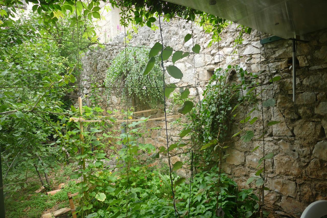 Villa Abeona Makarska Bagian luar foto